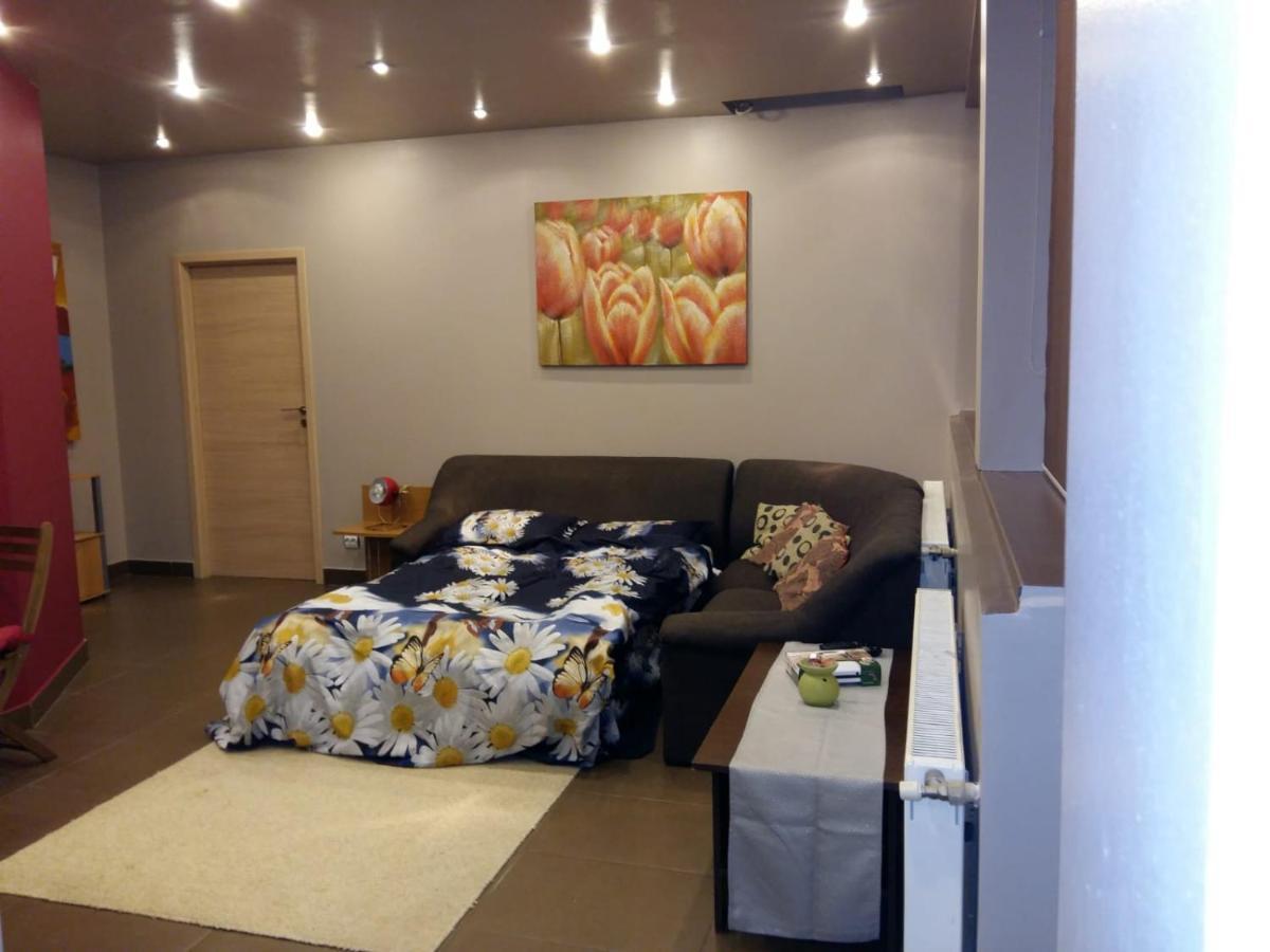 Penthouse Larry Daire Bükreş Dış mekan fotoğraf